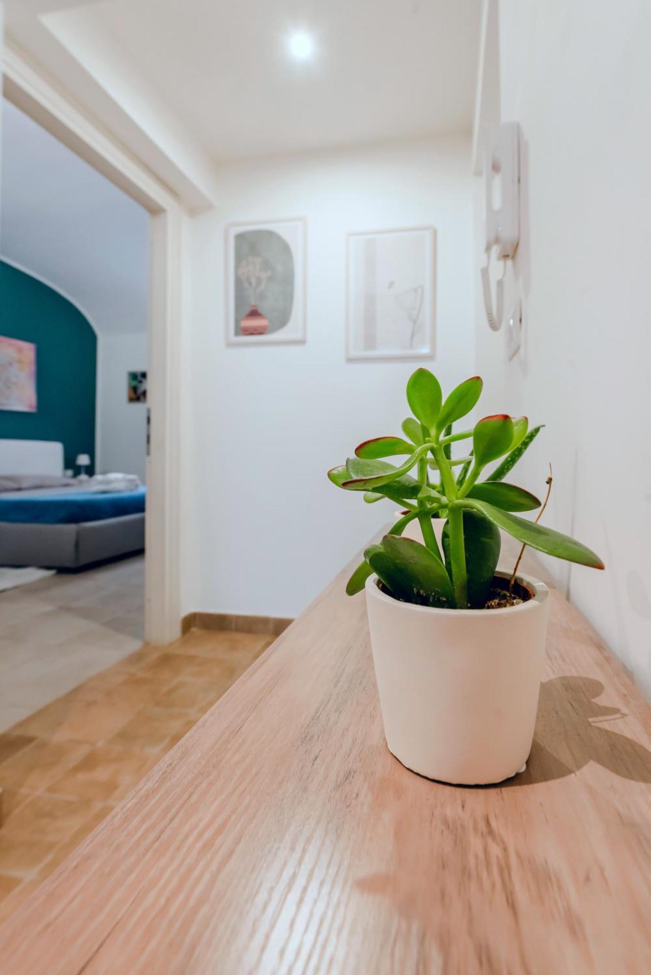 Helios Suites Testaccio - Center Of Rom Exteriör bild
